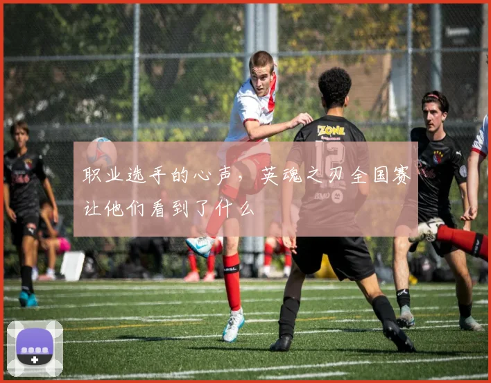 职业选手的心声，英魂之刃全国赛让他们看到了什么