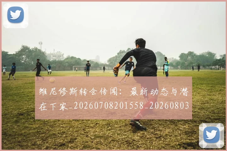 维尼修斯转会传闻:最新动态与潜在下家_20260708201558_20260803143245