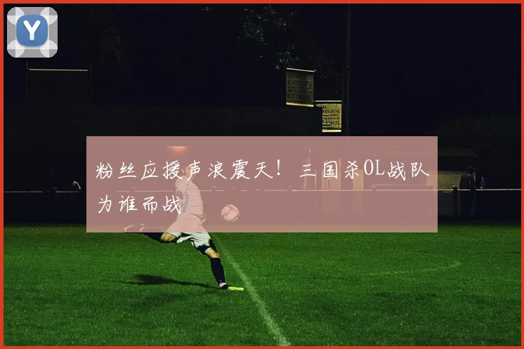 粉丝应援声浪震天！三国杀OL战队为谁而战