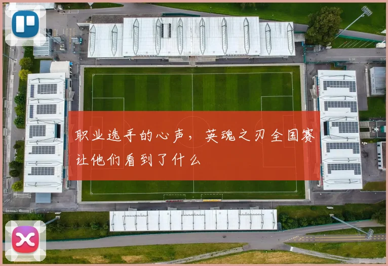 职业选手的心声，英魂之刃全国赛让他们看到了什么