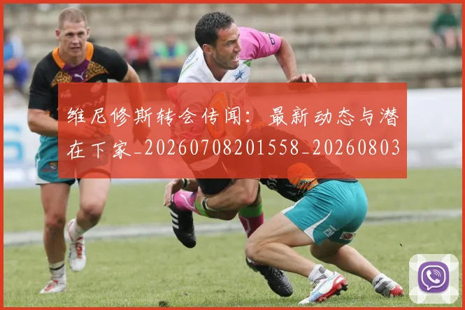 维尼修斯转会传闻：最新动态与潜在下家_20260708201558_20260803143245