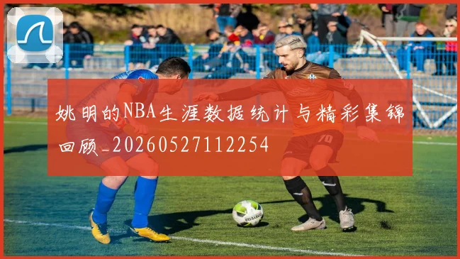 姚明的NBA生涯数据统计与精彩集锦回顾_20260527112254